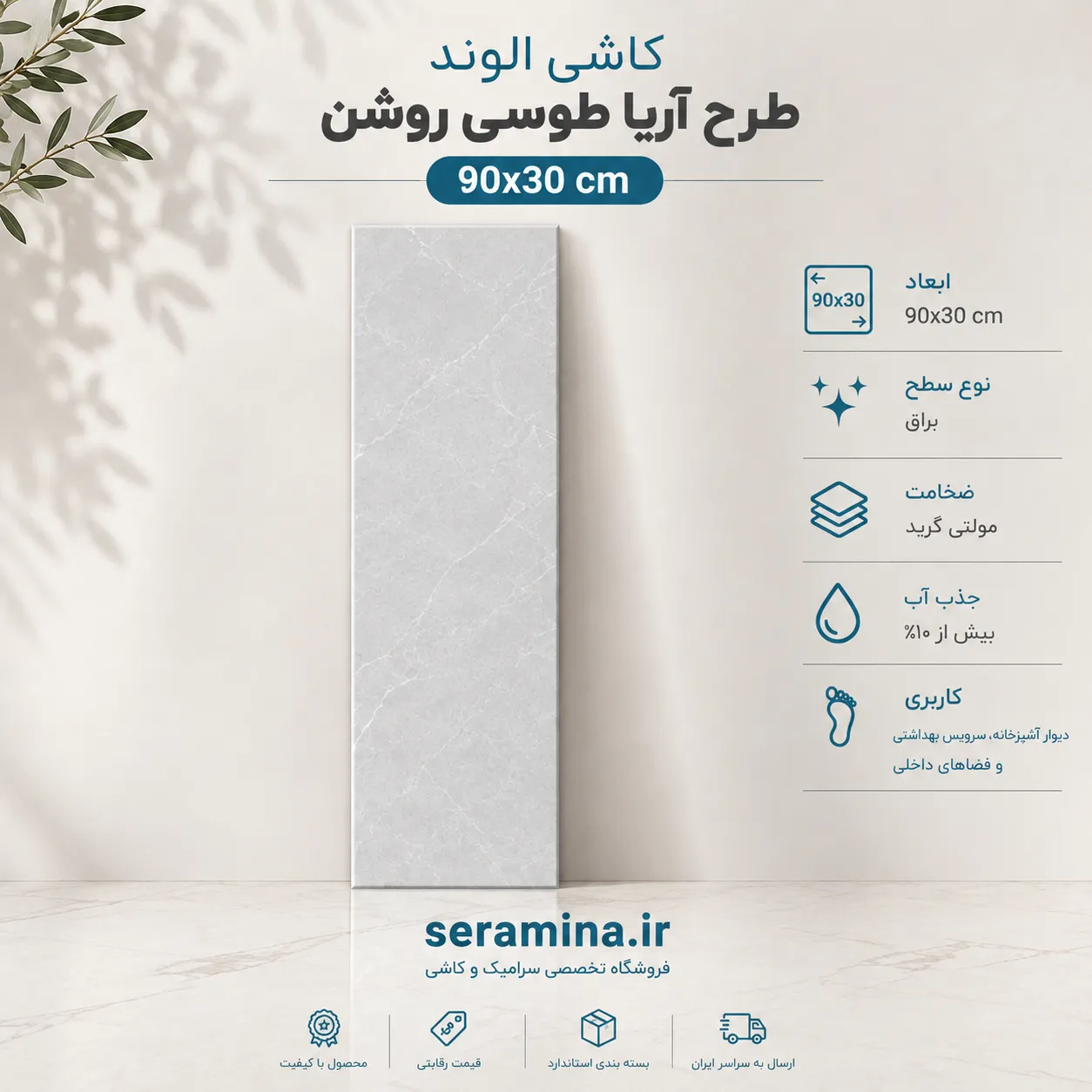 آریا طوسی روشن