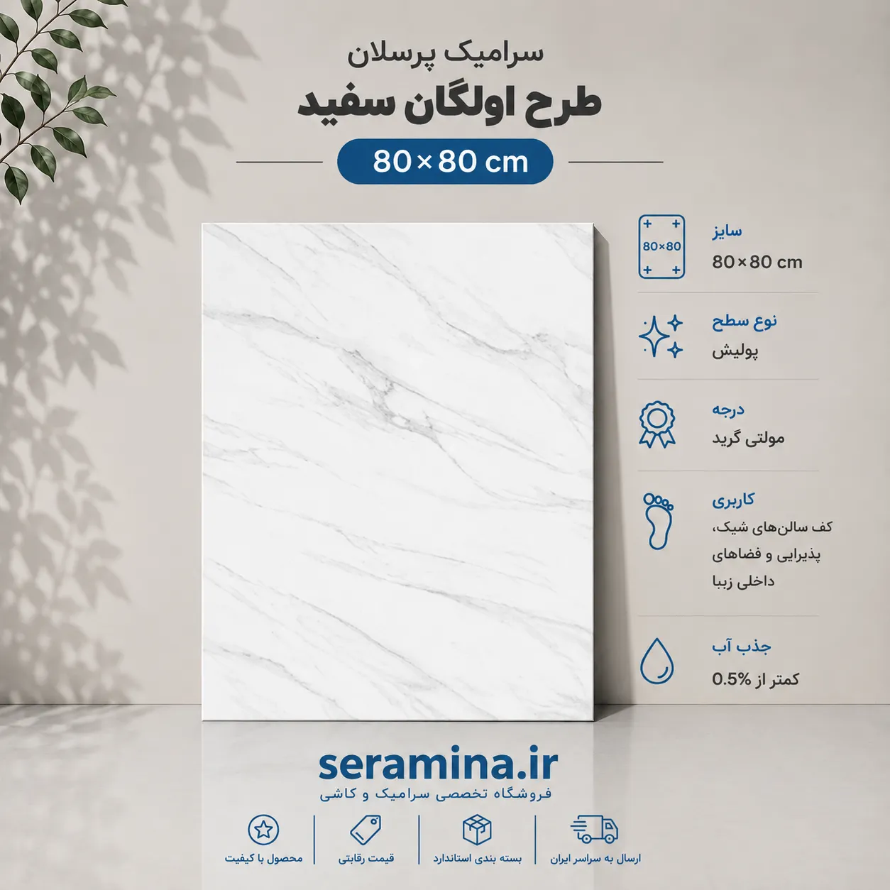 اولگان سفید 80×80