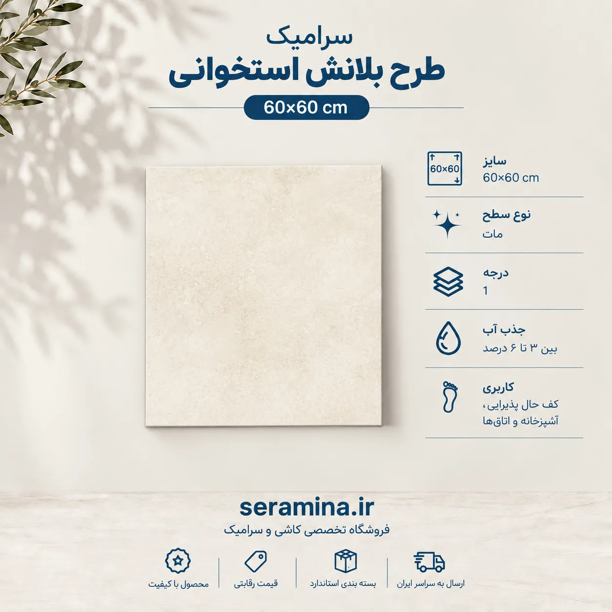بلانش استخوانی 60×60