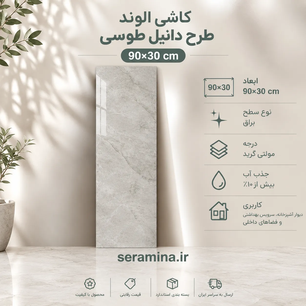 دانیل طوسی