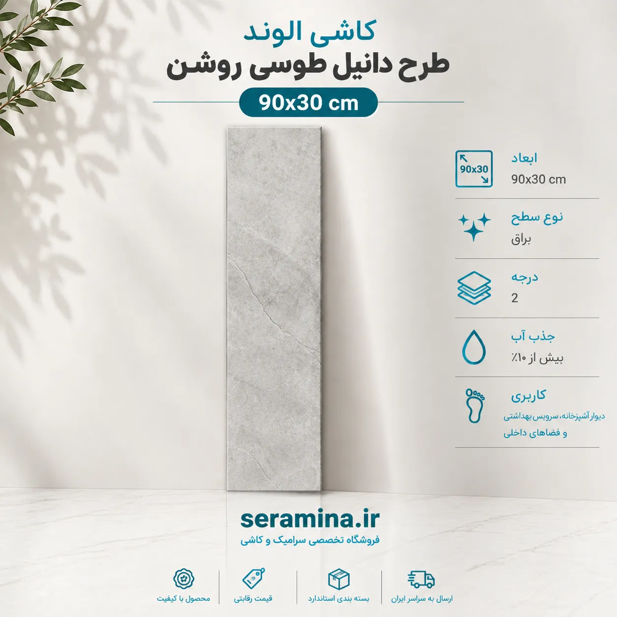 دانیل طوسی روشن