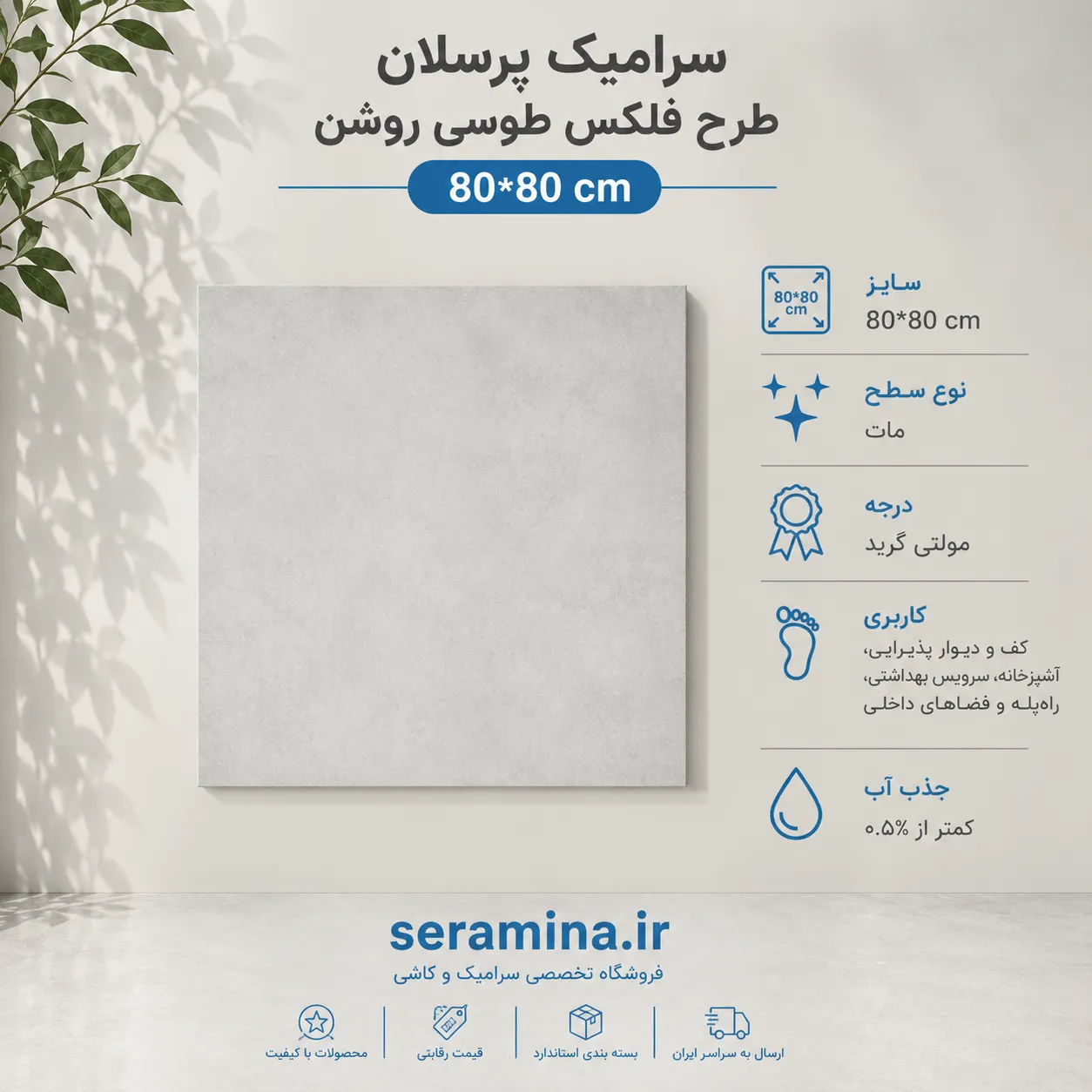 فلکس طوسی روشن