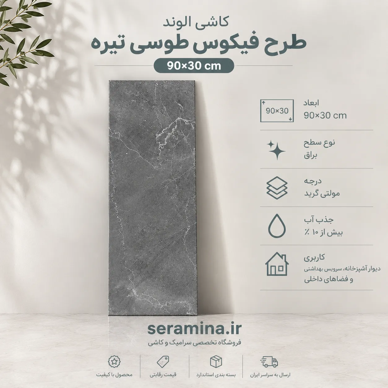 فیکوس طوسی تیره 90×30