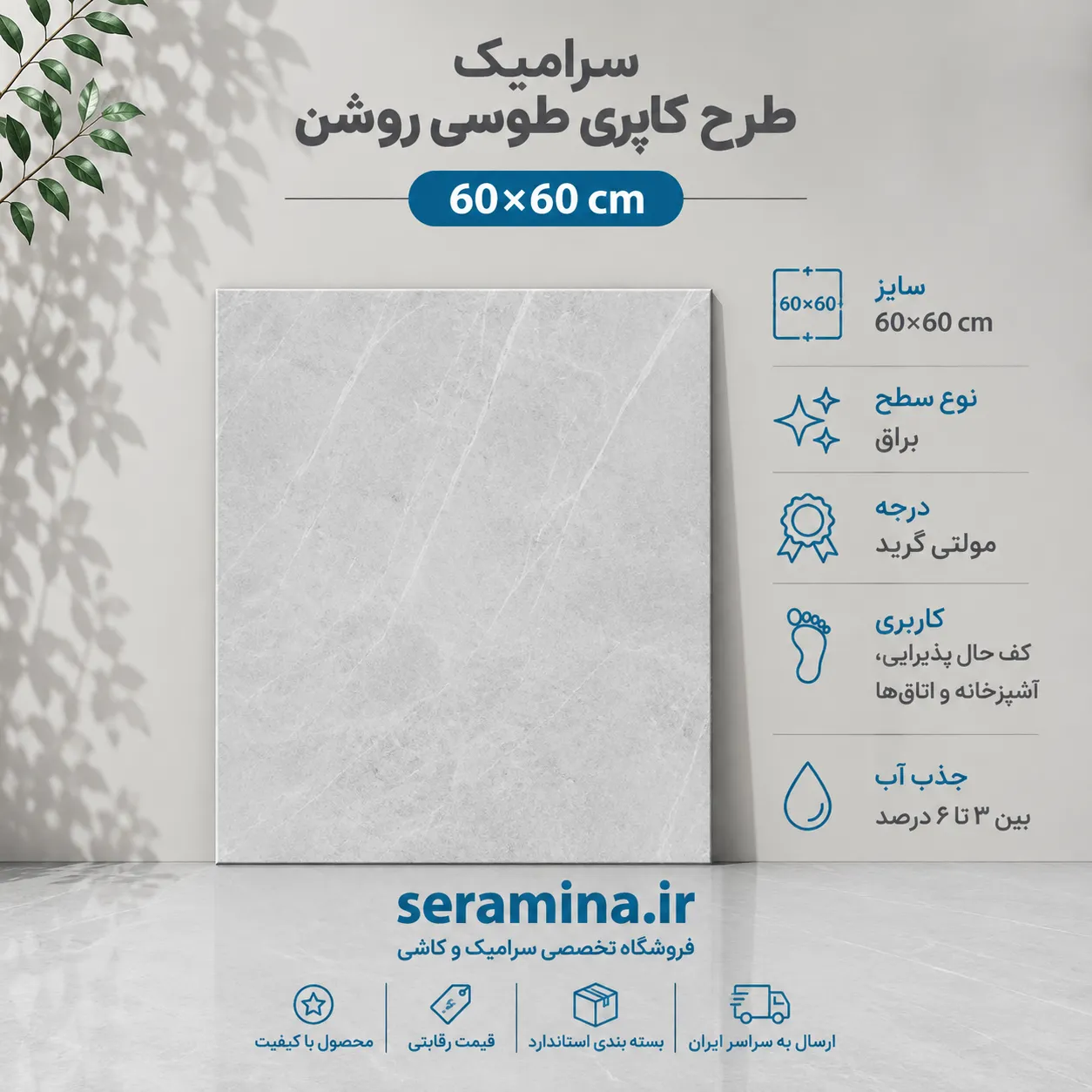 کاپری طوسی روشن 60×60