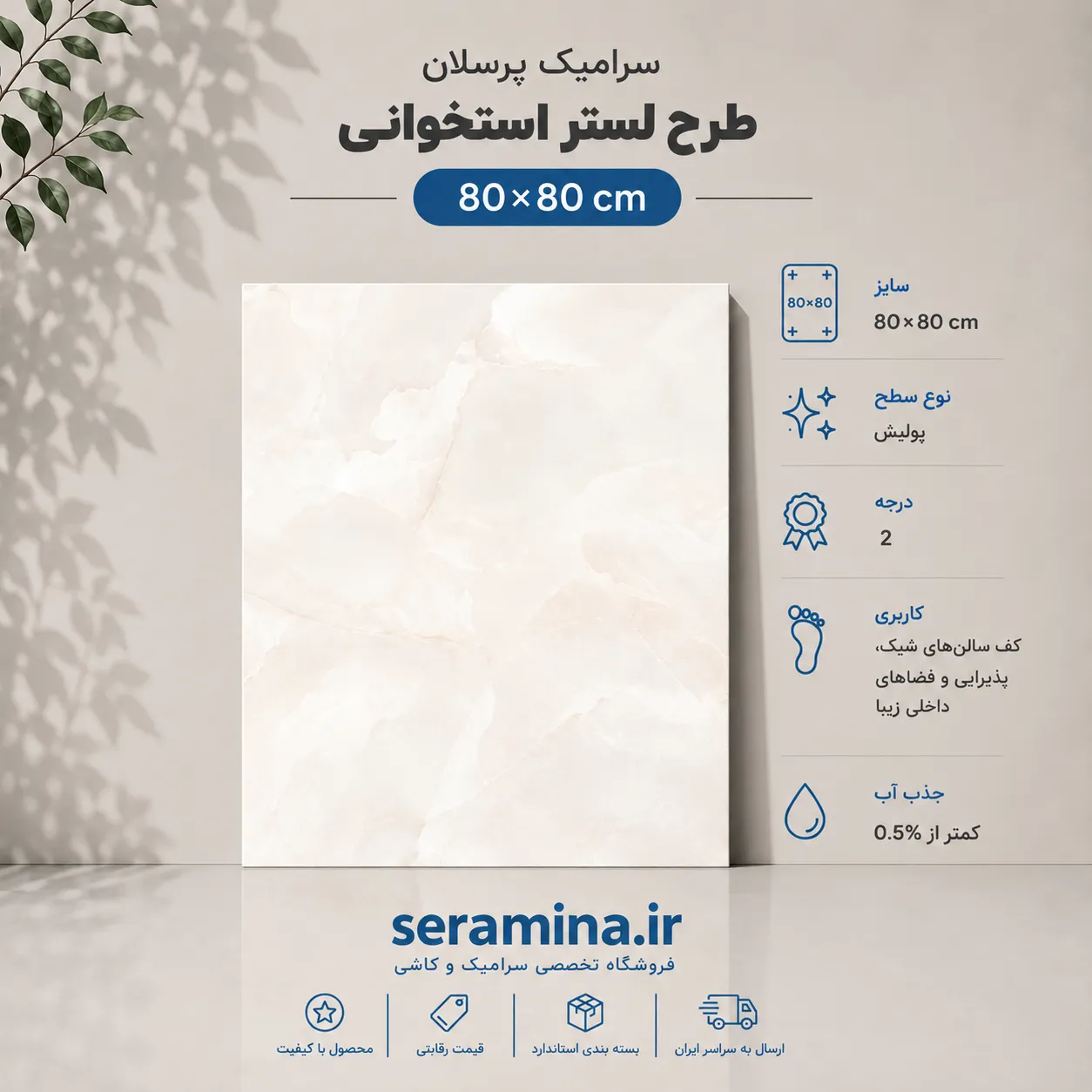 لستر استخوانی 80×80