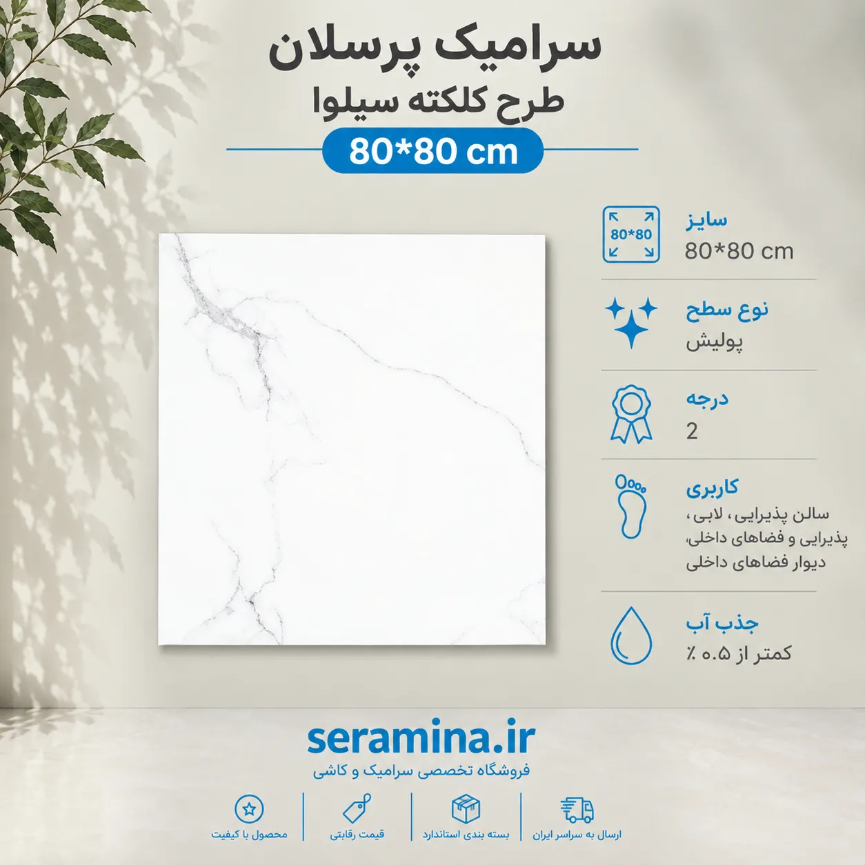پرسلان کلکته سیلوا پولیش رزنتایل 80*80 رکتیفای درجه ۲